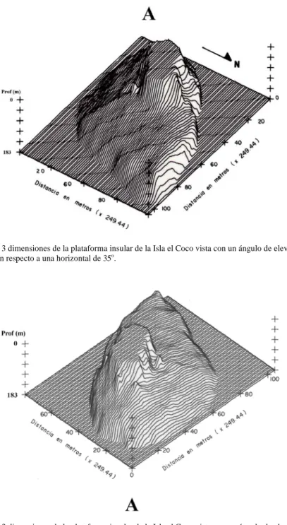 Fig. 5. Batimetría en 3 dimensiones de la plataforma insular de la Isla el Coco vista con un ángulo de elevación de 70 o  y una  rotación del norte con respecto a una horizontal de 35 o 