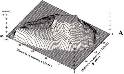 Fig. 7. Batimetría en 3 dimensiones de la plataforma insular de la Isla el Coco vista con un ángulo de elevación de 70 o  y una  rotación del norte con respecto a una horizontal de 225 o 