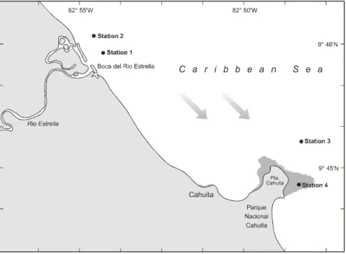 Fig. 2. Location of Stations 1-4 (Cahuita, Limón). The gray arrows show the direction of the  prevailing South East coastal current