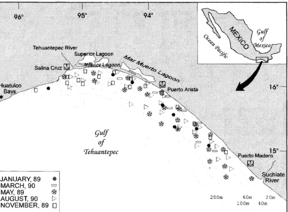 Fig.  l .   Study area. The collect stations  are  showed in relation lo the oceanographic cruises