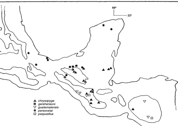 Fig. 6. Known distribution oC the new and redescribed species. Drawn  areas  indicare tite distribution oC pine and pine-oak Corests