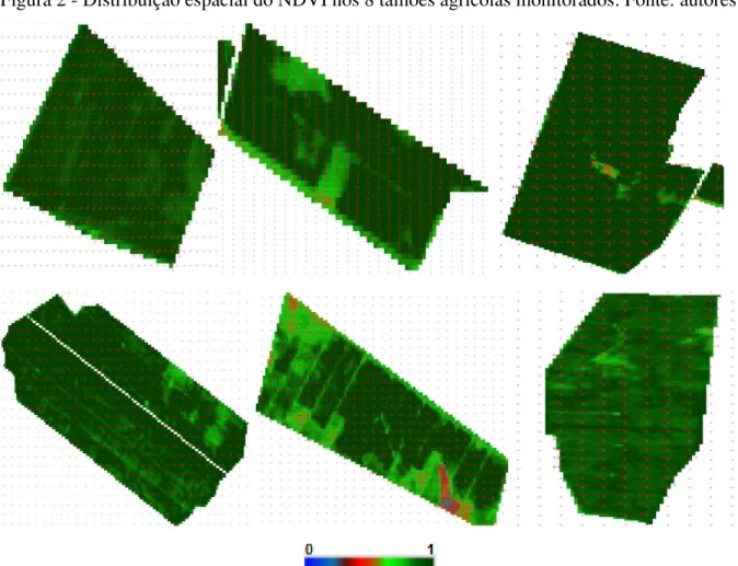 Figura 2 - Distribuição espacial do NDVI nos 8 talhões agrícolas monitorados. Fonte: autores