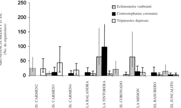Fig. 2. Specific richness of echinoderms by localities in Bahía de Loreto (August 1997-February 1998)