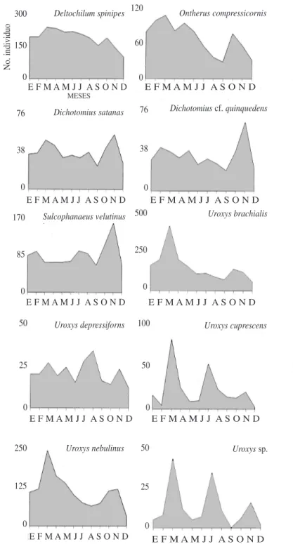 Fig. 6. Variación mensual del número total de individuos capturados de las especies más frecuentes (&gt; 100 individuos) en la R
