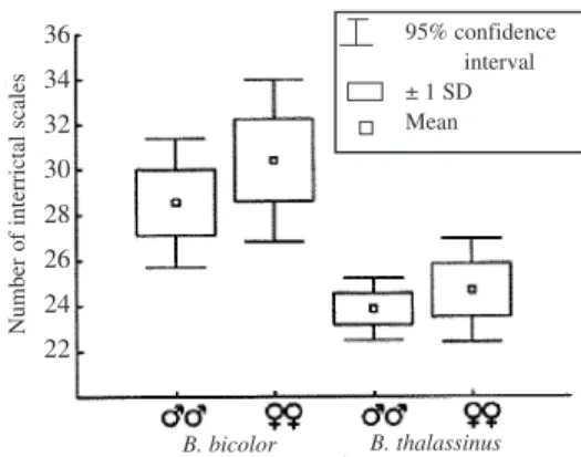 Fig. 3. Sample statistics for number of interrictal scales in two montane species of Bothriechis, B
