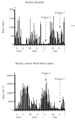Fig. 2. Patterns of weekly rainfall and onshore wind-stress at San Blas Point, from October 1993 to October 1995.