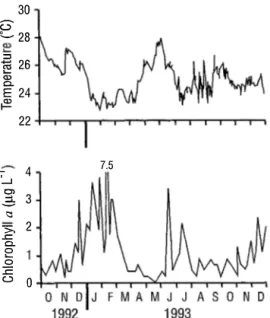 Fig.  4.  Seasonal changes in temperature and chlorophyll a  concentration from October  1992  to December  1993  at the  stndy  area  at  Turpia1ito  in  the  Golfo  de  Cariaco,  Venezuela