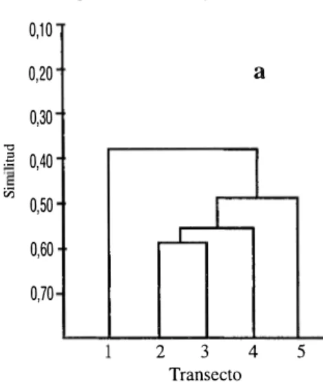 Fig.  3. Dendrogramas de similitud de los nematodos de la  bahia de Chetumal, a) Junio