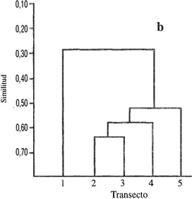 Fig.  3. Dendrogramas de similitud de los nematodos de la  bahia  de Chetumal,  b)  Diciembre