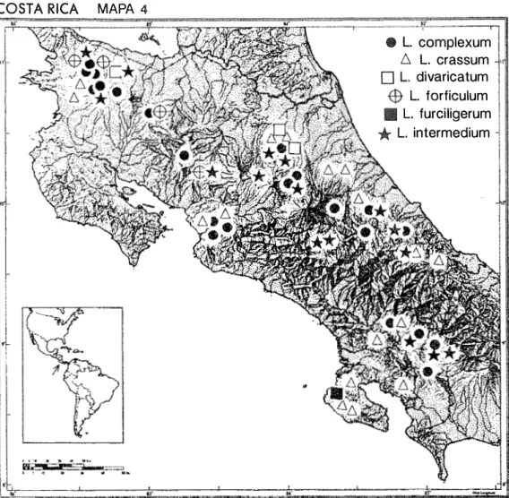 Fig. 33. Mapa 4, con la distribución conocida de Jos adultos de L. complexum, L. crassum, L