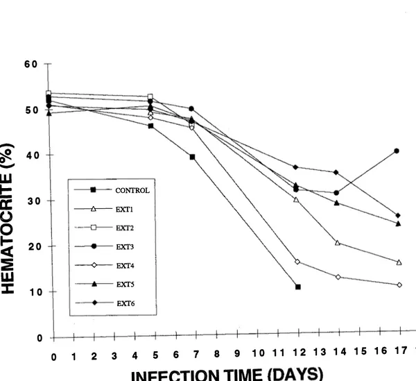 Fig.  1.  Hematocrite  versus  infection time. 