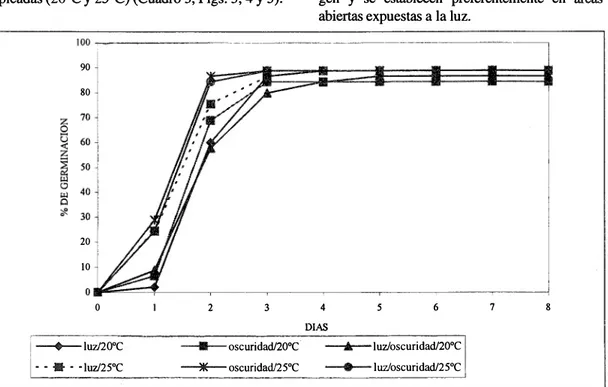 Fig. 4. Porcentaje de germinación  de  semillas escarificadas mecánicamente;  pruebas degenninación con los tres fotoperiodos,  a las  telllperáturas óptimas