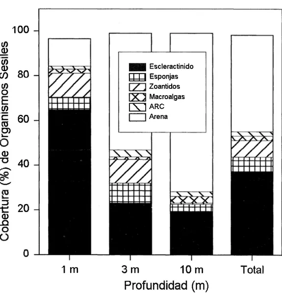 Fig. 5.  Resumen de la cobertura (%) total de los diversos  organismos sésiles encontrados en los transectos de los  1 4  arrecifes  de la región de Bahía Almirante