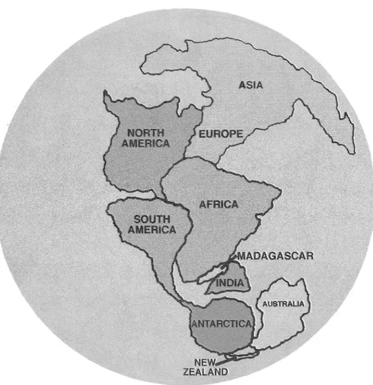 Fig.  l.  ldentification of continents in Pangaea. Use as basis lo identify landmasses in following figures