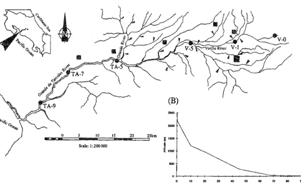 Fig. 1. A) RIO  Grande de Tarcoles basin with sampling sites (V-O to TA-9),  as  well as the main cities (squares) and the most  important sewage effluents (arrows), B) Longitudinal profile of the sampling sites