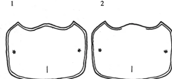 Fig.  1. Complete anterior pronotal margin of  Ateuchus. 