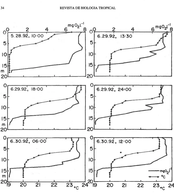 Fig. 3. Oxygen profiles at Cerro Chatos lake on 28 May 1992 at 10:00 a.m. and on 29,30 June 1992, at different times of day  in a 24-hour cycle