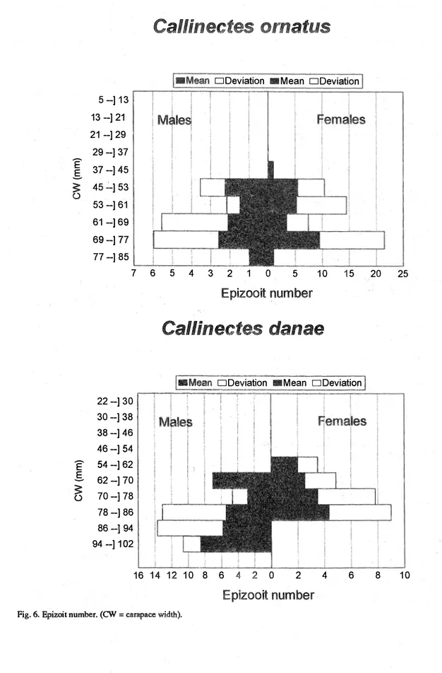 Fig.  6.  Epizoit numbcr. (CW  =  carapace  width). 