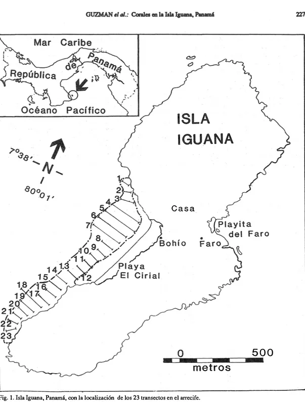 Fig. 1. Isla Iguana,  Panamá,  con la localización  de los 23 transectos en el arrecife