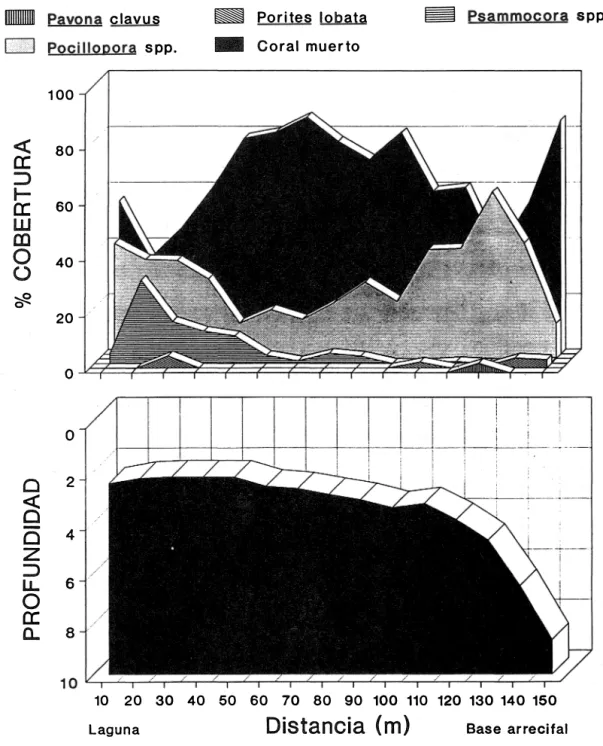 Fig. 2.  Perfil sinóptico  de zonaciÓII y  cobertura de corales escleraclwos (A)  y  projilndidad durante la marea  alta  (B), del  arrecife  de  Isla Iguana, para agosto  de 1988