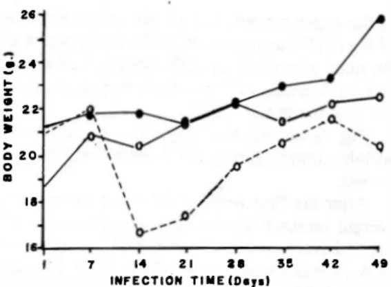 Fig.  3. Body  weight  variaúon  on rruce  infected  with  diffe­