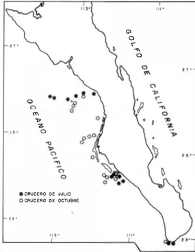 Fig. 1: Estaciones de arrastre a  fondo  realizados  en  julio  (o)  y octubre ( o )  de 1987, a bordo del B/O &#34;EL PUMA&#34;