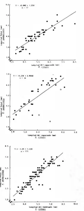Fig.  1.  Relación  entre la longitud del parásito y  del ca­