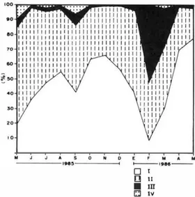 Fig.  1. Porcentaje  dc  los  estadios de  desarrollo gonádi­