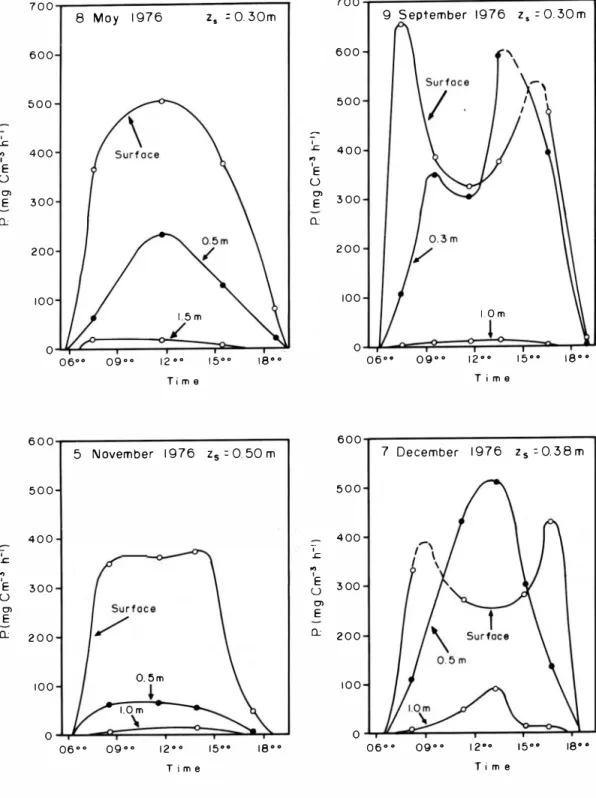 Fig. 1  P rimary p roductivity curves fo r  in-situ  experiments i n  the Mitla lagoon