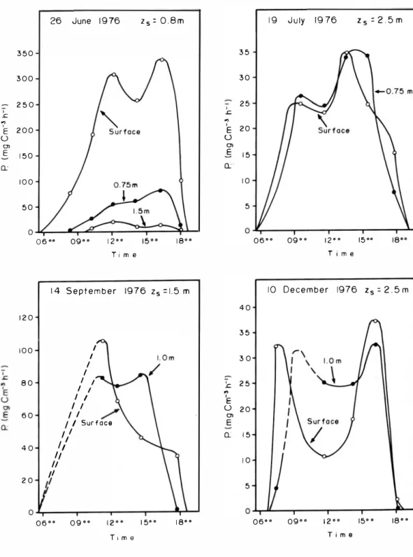 Fig.  2  Primary  p roductivity  curves  for  in·situ  expe riments  in  the  Chautengo  lagoon