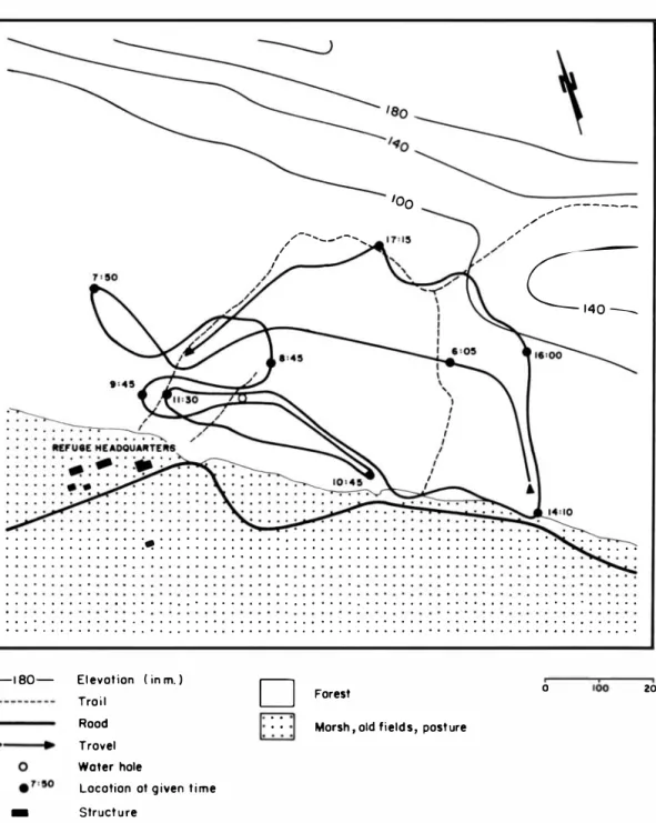 Fig.  2.  White-faced  monkey  (Cebus  capucinus)  troop.  movement.  Palo  Verde.  March  1 2,  1 982
