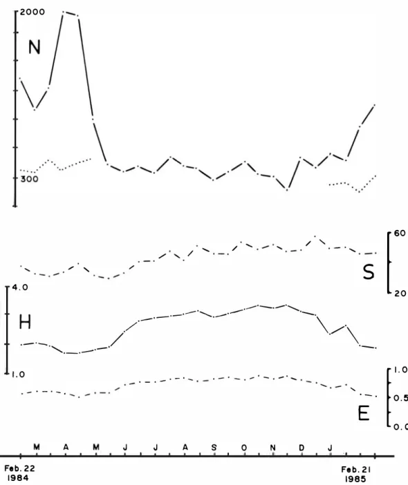 Fig.  3.  Total number of individuals  (N), Species  (S), Shannon-Weiner diversity  function  (H'), and Equitability (E),  per  date  (28  cores,  0.05  m 2 )