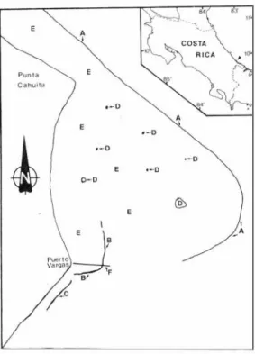 Fig.  1 .   Mapa  del  arrecife  coralino  del Parque Nacional  Cahuita. 