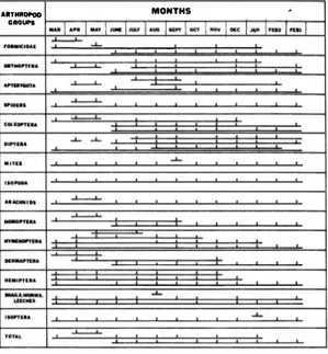 Figure  2  represents  the  results  of Duncan's  multiple-range  a  posteriori  test