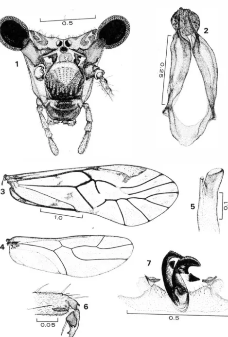 Fig. 1 .   Fig . 2. 