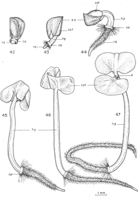 Fig.  43  - at  6  d ays;  Fig.  44  - at  8  days;  Fig.  45  - at  10  days;  Fig.  46  - at 1 1  days; 