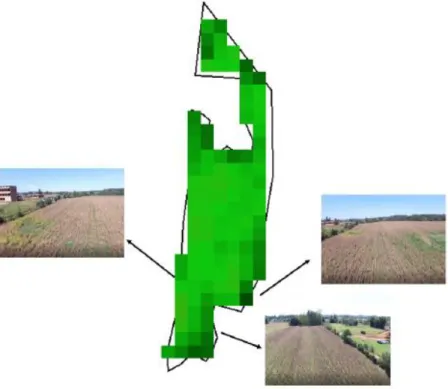 Figura 3 - Combinação do NDVI com as imagens do drone para verificação de anomalias na  lavoura de soja