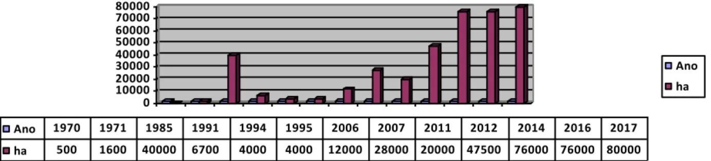 Tabela 1: Dados da variação em ha do cultivo da soja em Dom Pedrito - RS 