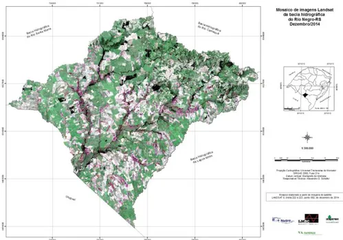 Figura 01: Mosaico de imagens Landsat da bacia hidrográfica do Rio Negro para o  ano de 2014