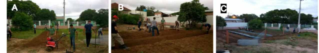 Figura 1. Alunos do curso de Agronomia iniciando as atividades (A),  limpeza do terreno (B) e a área após a realização das primeiras tarefas (C)