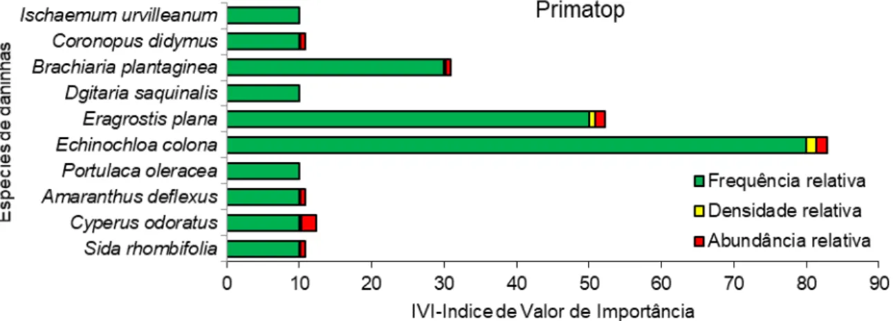 Figura  2  .  Frequência,  densidade  e  abundância  relativa,  e  índice  de  valor  de  importância em pastagens de Tifton 85 implantadas com o uso do Primatop para o  controle de daninhas em pré-emergência  