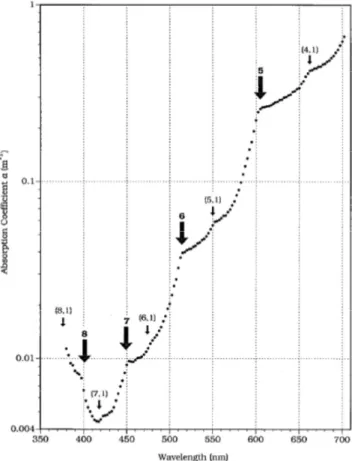 Fig.  16: Espectro de absorción del agua pura en el rango visible. (Robin M. Pope and Edward S