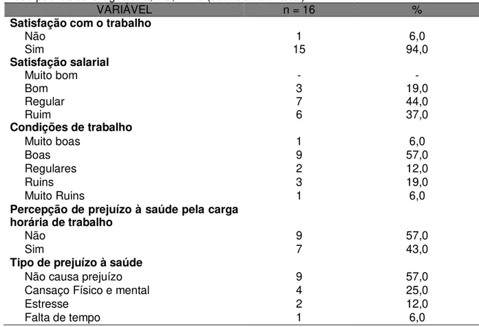 Tabela  2.  Características  em  relação  ao  trabalho  dos  Professores  de  Educação  Física  da  rede pública de Uruguaiana, RS, n=16 (30% do valor total)