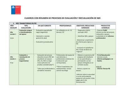 CUADROS CON RESUMEN DE PROCESOS DE EVALUACIÓN Y REEVALUACIÓN DE NEE