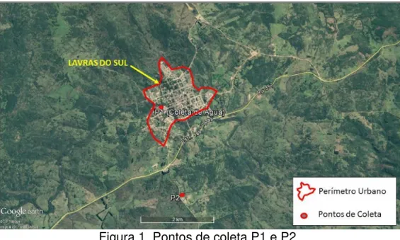 Figura 1. Pontos de coleta P1 e P2. 