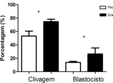 Figura 4. Taxa de clivagem e produção de blastocisto dos grupos pequeno e grande; 