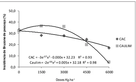 Figura 3: Incidência de Brusone de Pescoço (IBP), em função de diferentes doses  de silício (SI) na cultivar Guri INTA CL