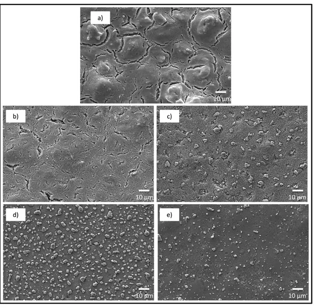 Figure 5. Surface micrographs of samples treated at: a) 200 ºC, b) 350 ºC, c) 450 ºC, d) 226 