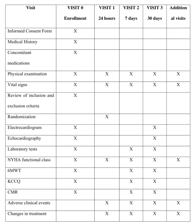 Table 2.  Study procedures 