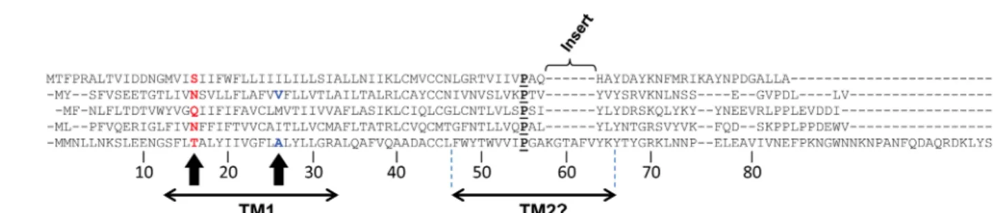 FIG 1 Sequence alignment of representative CoV E proteins. Amino acid sequence of E proteins from TGEV (transmissible gastroenteritis virus; NCBI accession no